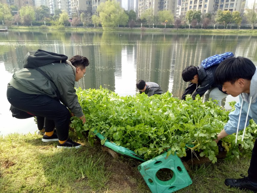 william威廉亚洲官方