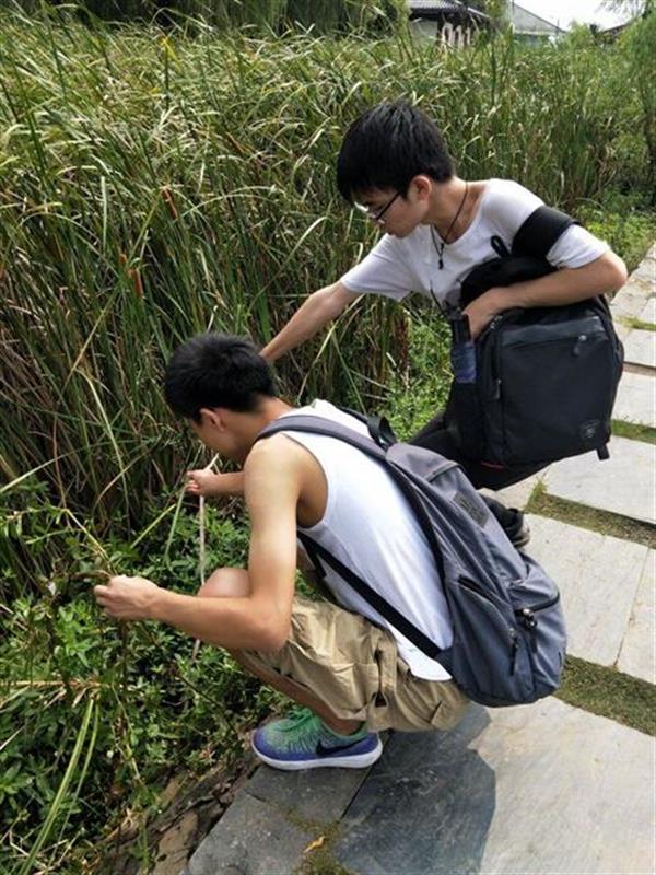 william威廉亚洲官方