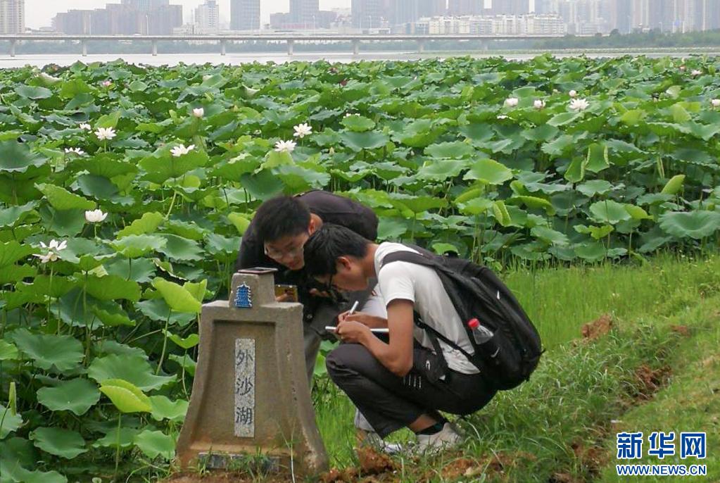 william威廉亚洲官方
