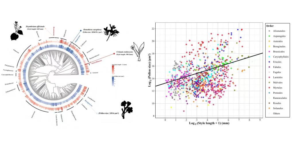 william威廉亚洲官方