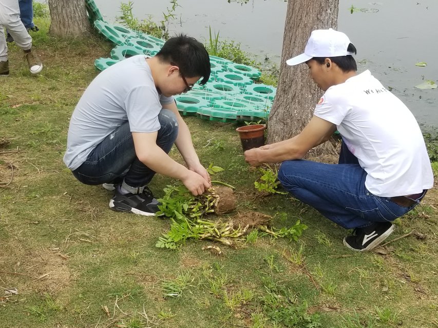 william威廉亚洲官方