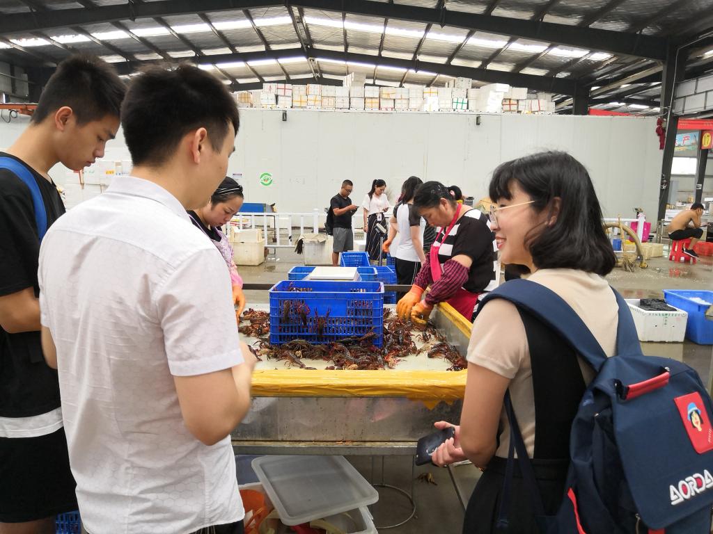 william威廉亚洲官方