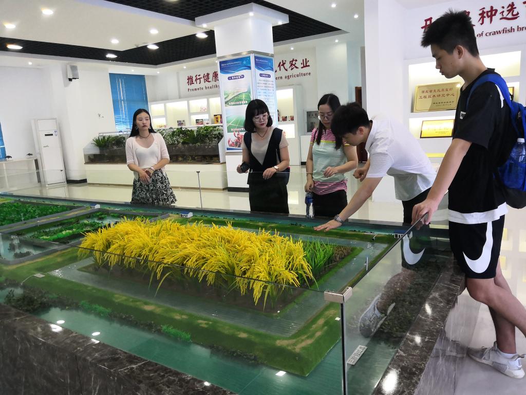 william威廉亚洲官方