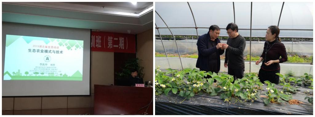 william威廉亚洲官方