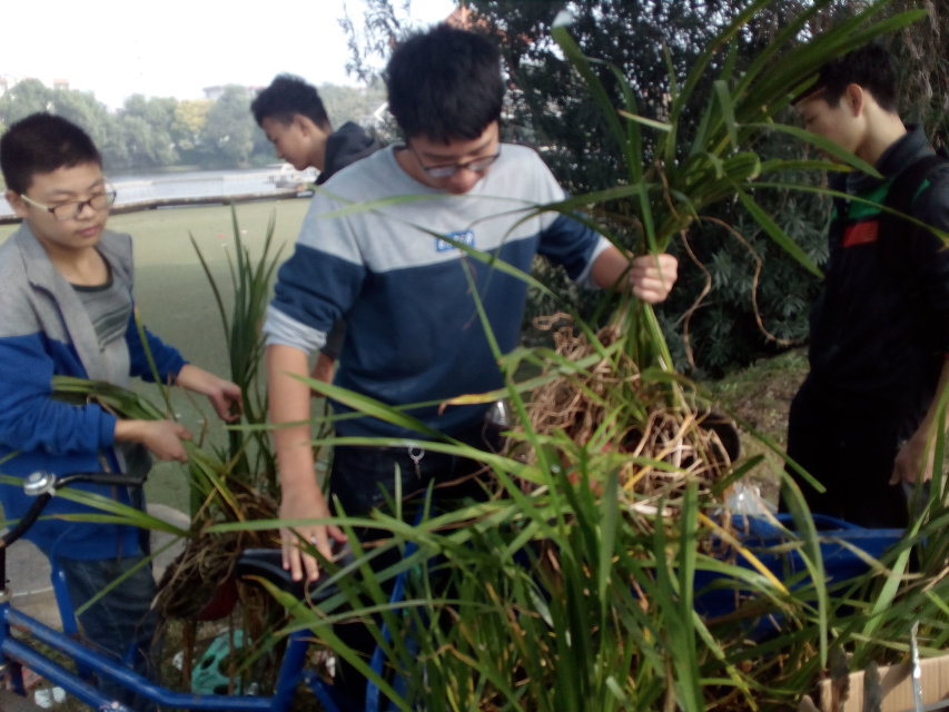 william威廉亚洲官方